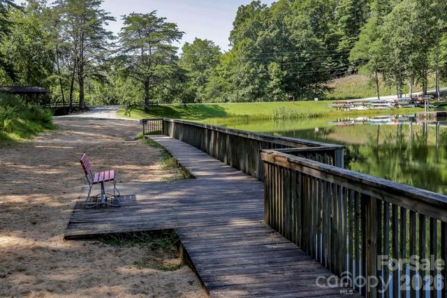 450 Starling Road, Lake Lure, NC 28746