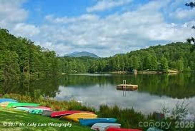 450 Starling Road, Lake Lure, NC 28746