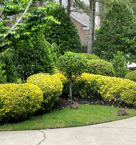 85 Greenbriar Ave., Pawleys Island, SC 29585