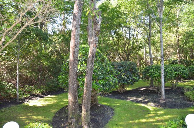 85 Greenbriar Ave., Pawleys Island, SC 29585