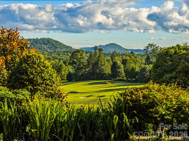 7 Stuyvesant Road, Biltmore Forest, NC 28803