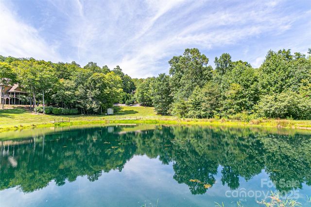 579 Bluemist Way, Arden, NC 28704