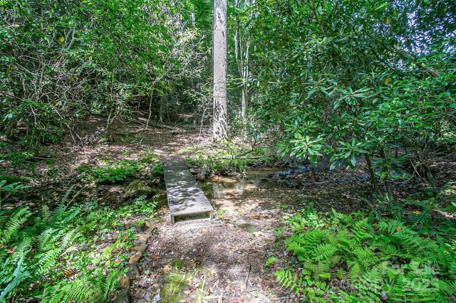 579 Bluemist Way, Arden, NC 28704