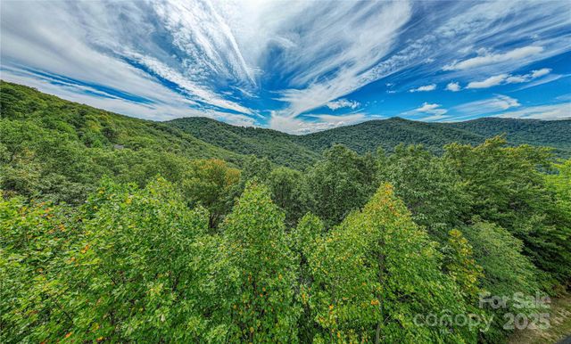 579 Bluemist Way, Arden, NC 28704