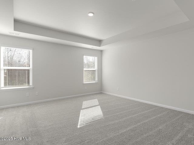 808 Ring Bill Court Lot 343, Sneads Ferry, NC 28460