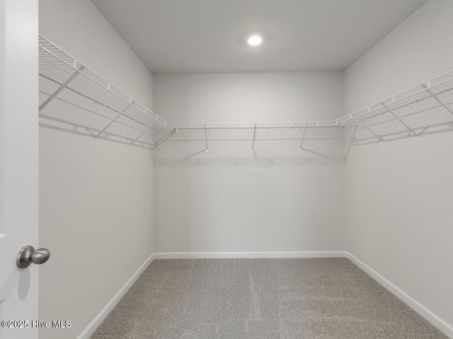 808 Ring Bill Court Lot 343, Sneads Ferry, NC 28460