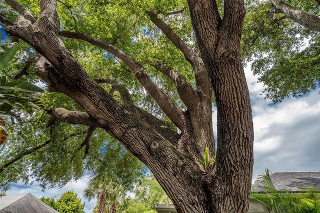 4 CURACAO CIRCLE 40, Englewood, FL 34223