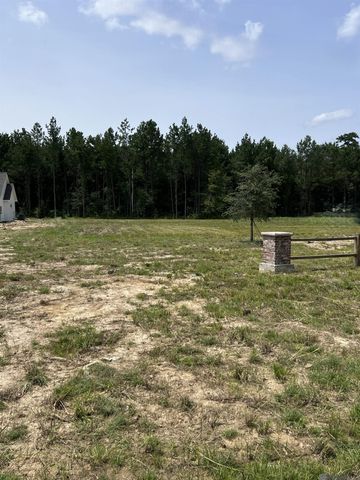 19103 La Hwy 444, Livingston, LA 70754