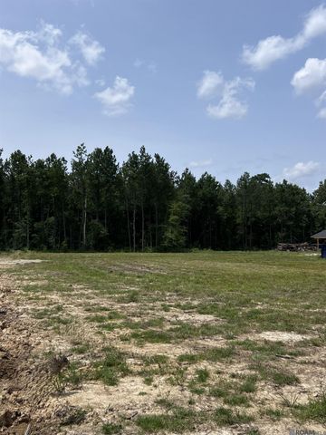 19103 La Hwy 444, Livingston, LA 70754