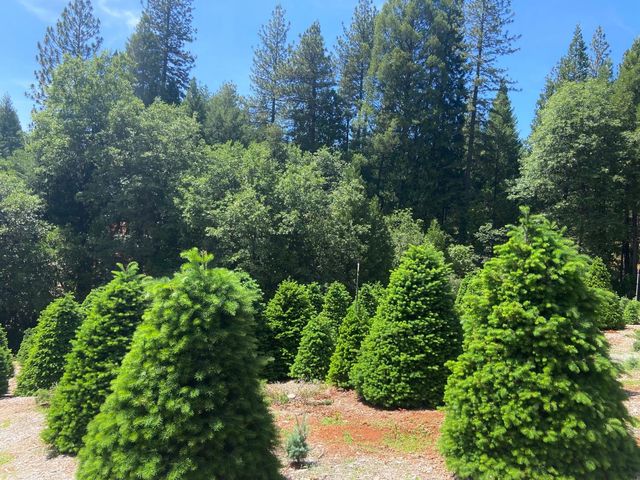 2640 Sky Ranch Ln, Camino, CA 95709