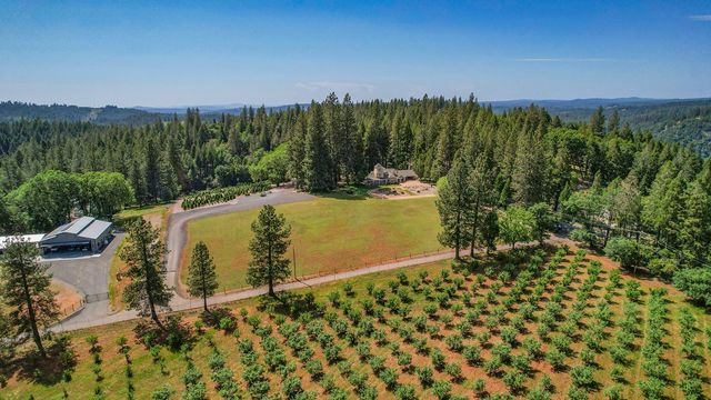 2640 Sky Ranch Ln, Camino, CA 95709