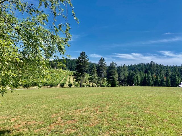 2640 Sky Ranch Ln, Camino, CA 95709