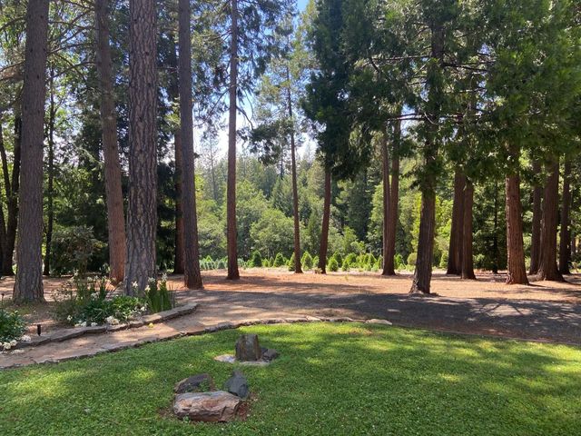 2640 Sky Ranch Ln, Camino, CA 95709