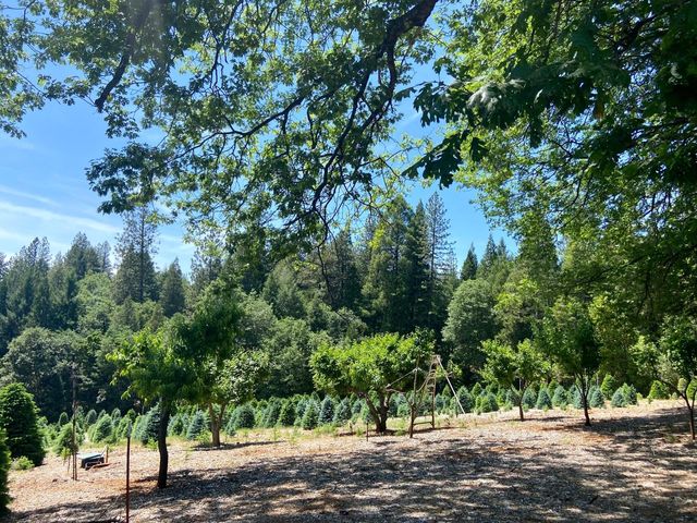 2640 Sky Ranch Ln, Camino, CA 95709