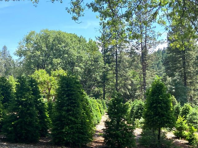 2640 Sky Ranch Ln, Camino, CA 95709