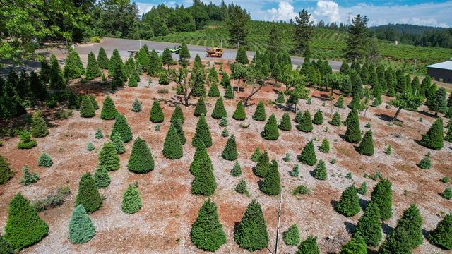 2640 Sky Ranch Ln, Camino, CA 95709