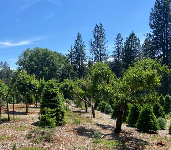 2640 Sky Ranch Ln, Camino, CA 95709