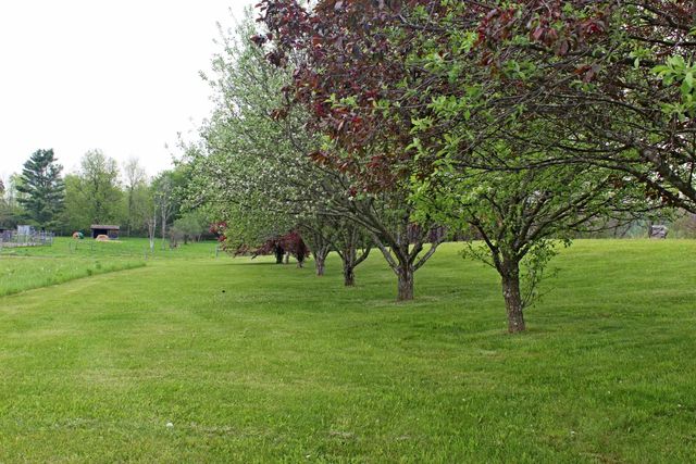 3588 Route 144, Benson, VT 05743