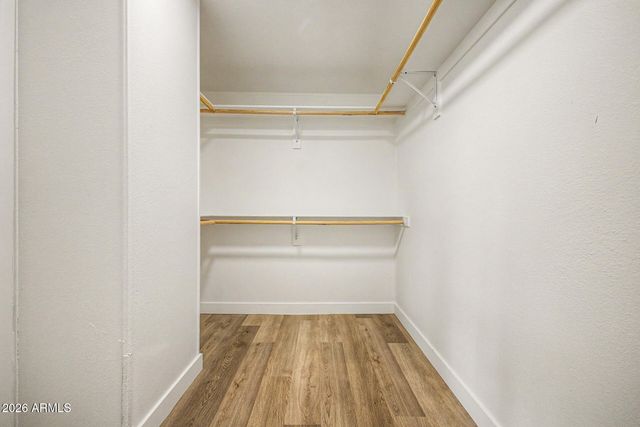 41111 N RABBIT BRUSH Trail, San Tan Valley, AZ 85140