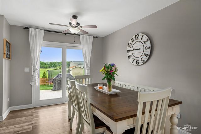 352 Coneflower Drive, Minooka, IL 60447