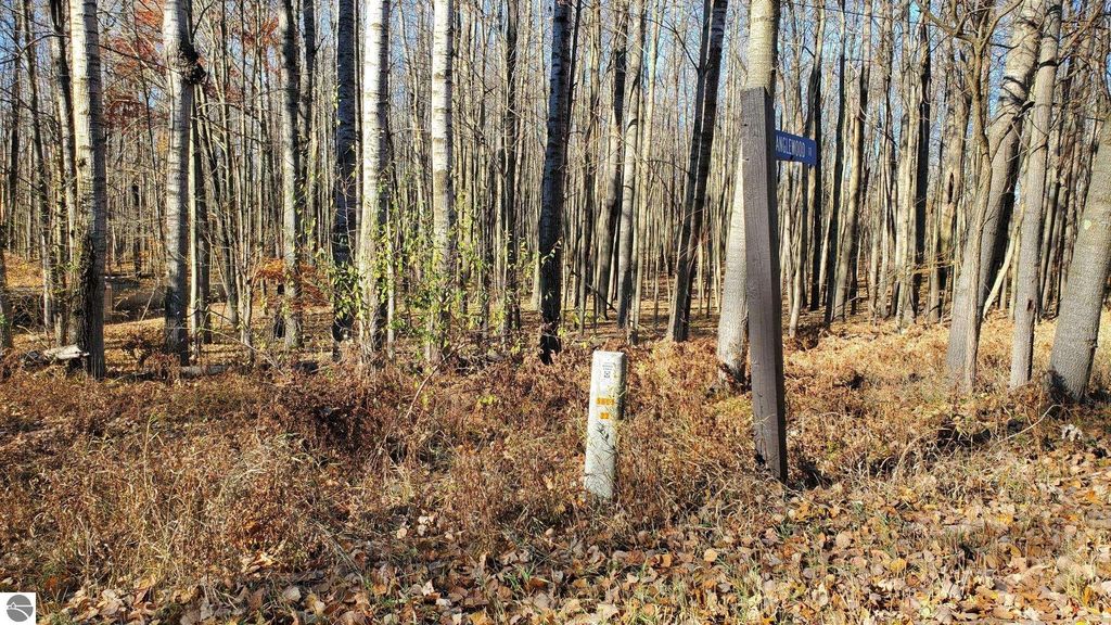 Image 1 of property listing at 8122 Highland Trail, Stanwood, MI 49346