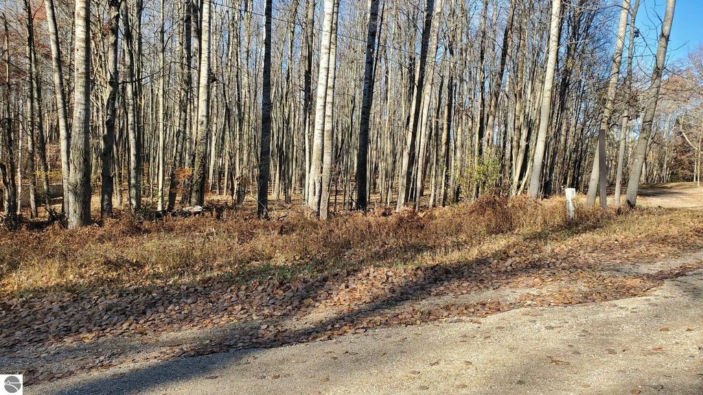 Image 4 of property listing at 8122 Highland Trail, Stanwood, MI 49346