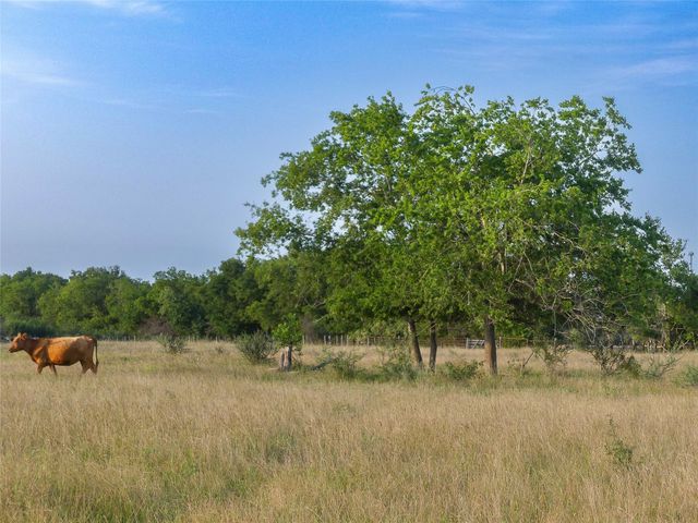 339 FM, Kosse, TX 76653