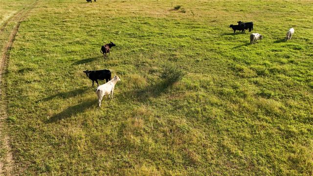 339 FM, Kosse, TX 76653