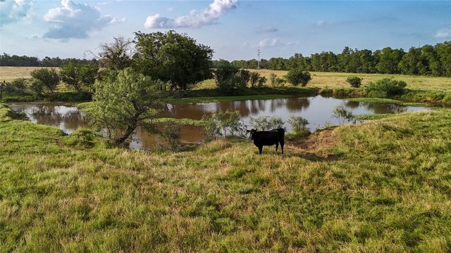 339 FM, Kosse, TX 76653