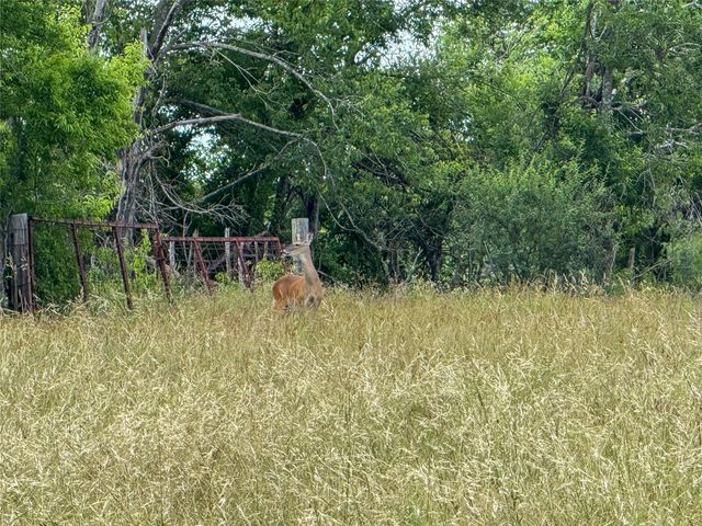 339 FM, Kosse, TX 76653