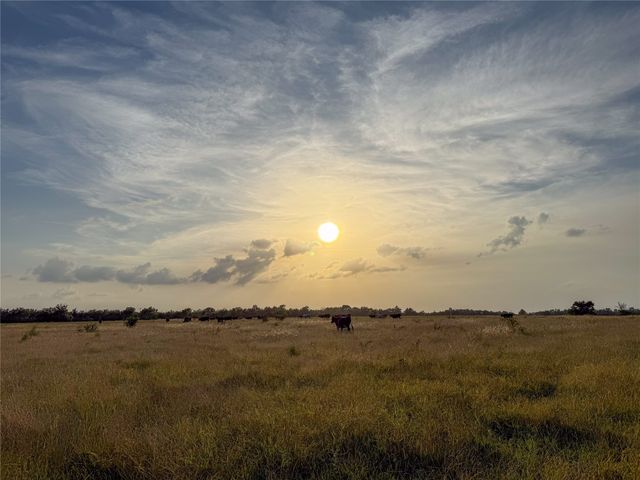 339 FM, Kosse, TX 76653