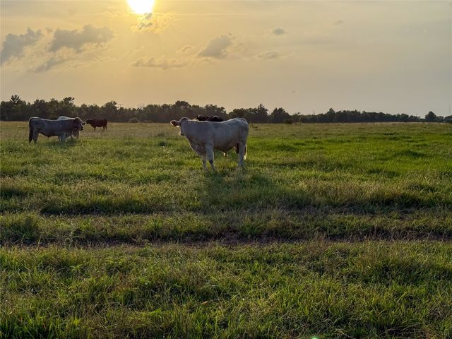 339 FM, Kosse, TX 76653