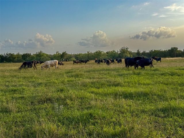 339 FM, Kosse, TX 76653