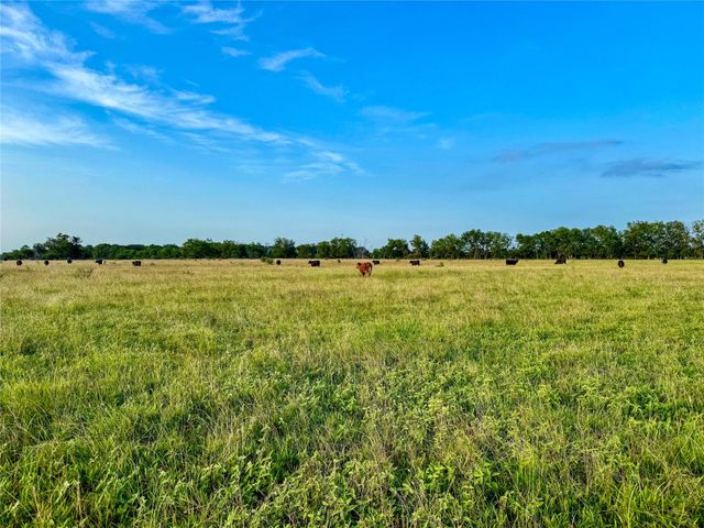 339 FM, Kosse, TX 76653