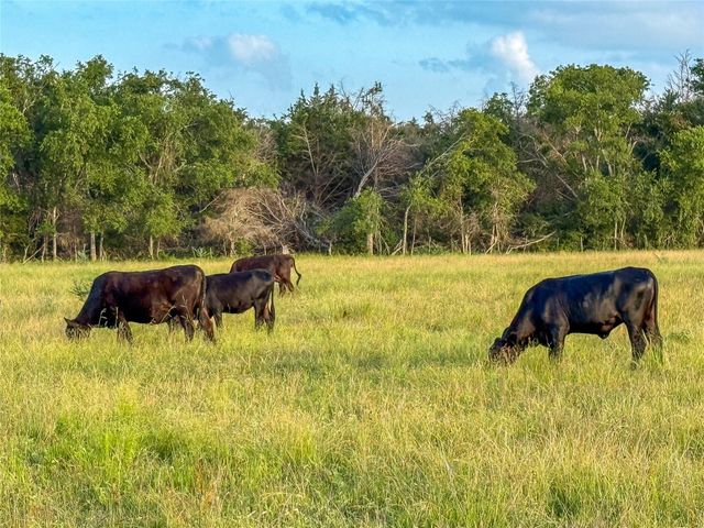 339 FM, Kosse, TX 76653