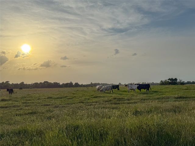 339 FM, Kosse, TX 76653