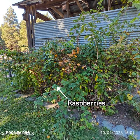 55 Trotter Ln, Sandpoint, ID 83864