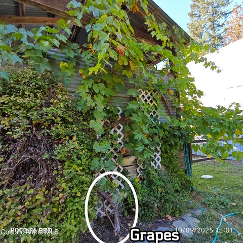 55 Trotter Ln, Sandpoint, ID 83864