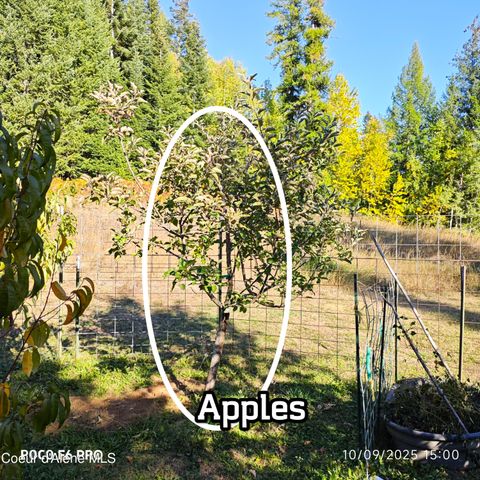 55 Trotter Ln, Sandpoint, ID 83864