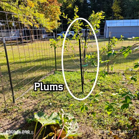 55 Trotter Ln, Sandpoint, ID 83864