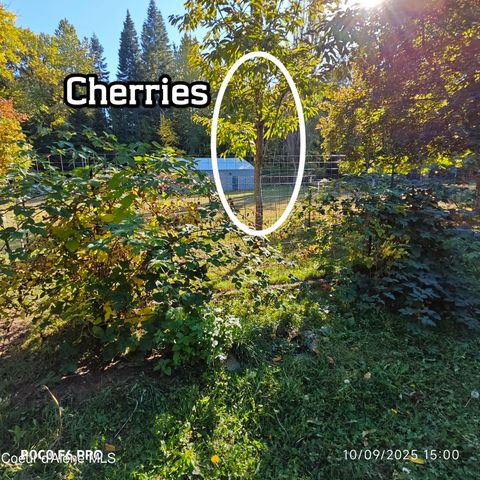 55 Trotter Ln, Sandpoint, ID 83864