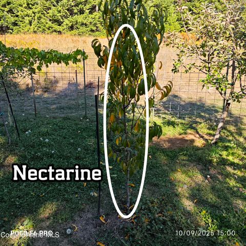 55 Trotter Ln, Sandpoint, ID 83864