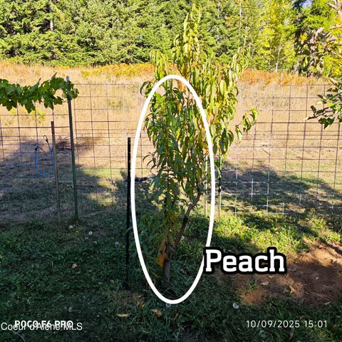 55 Trotter Ln, Sandpoint, ID 83864