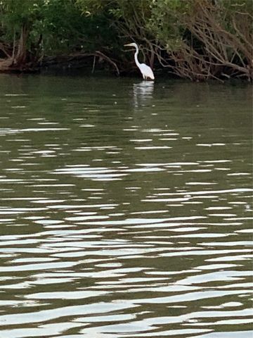 2820 Appaloosa Court, Little Elm, TX 75068