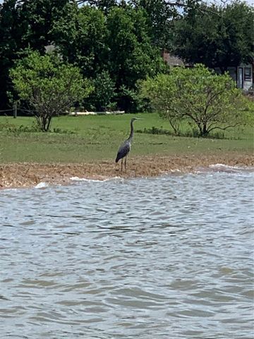 2820 Appaloosa Court, Little Elm, TX 75068