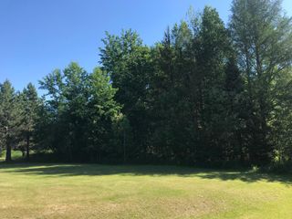 TBD Rodeo Drive NW, Bemidji, MN 56601