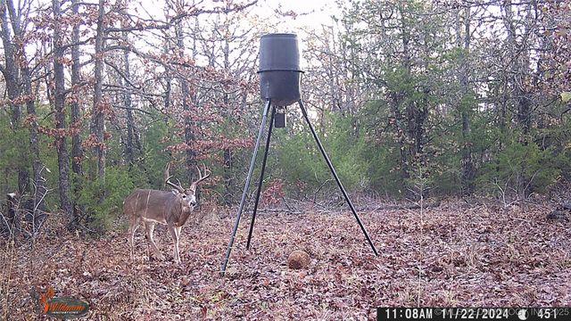 361935 E 5700 Road, Jennings, OK 74038