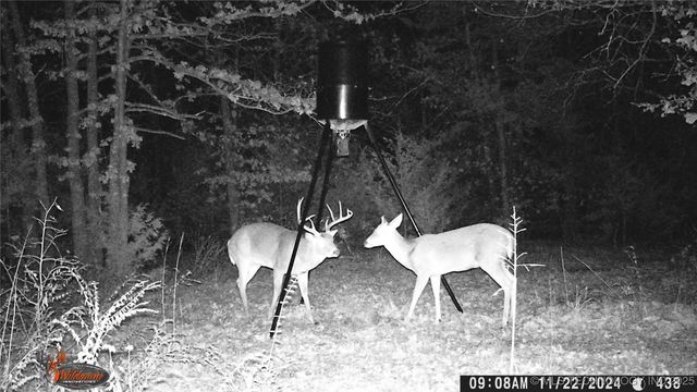 361935 E 5700 Road, Jennings, OK 74038