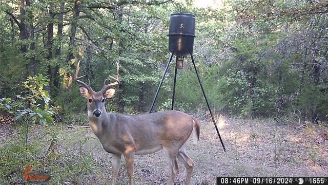 361935 E 5700 Road, Jennings, OK 74038