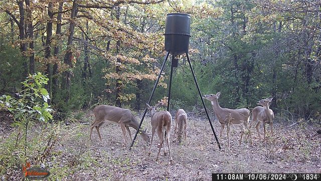 361935 E 5700 Road, Jennings, OK 74038